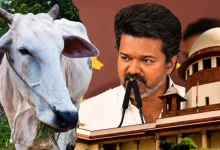 Tamil Nadu Cow Slaughter Ban