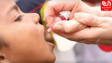 World Polio Day 2026
