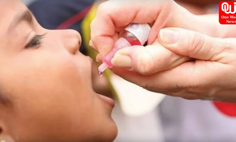 World Polio Day 2026