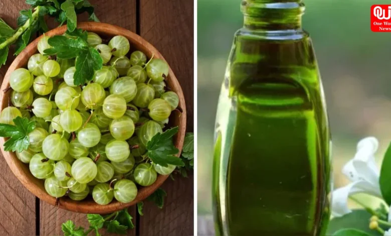 Amla Oil vs Bhringraj Oil