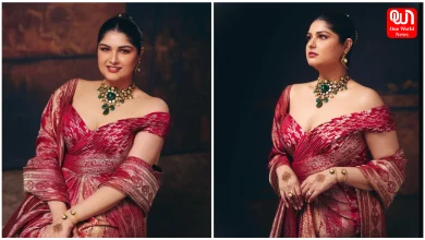 Anshula Kapoor Reception Look