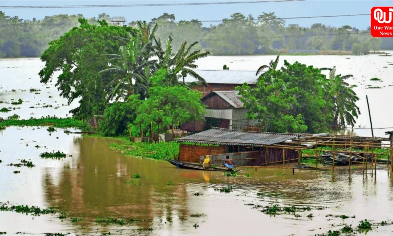 Assam Flood