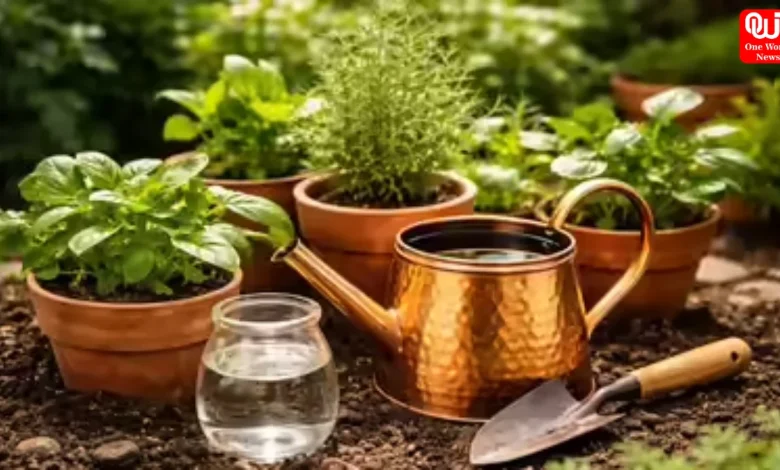 Copper Water For Plants