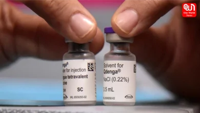 Dengue Vaccine
