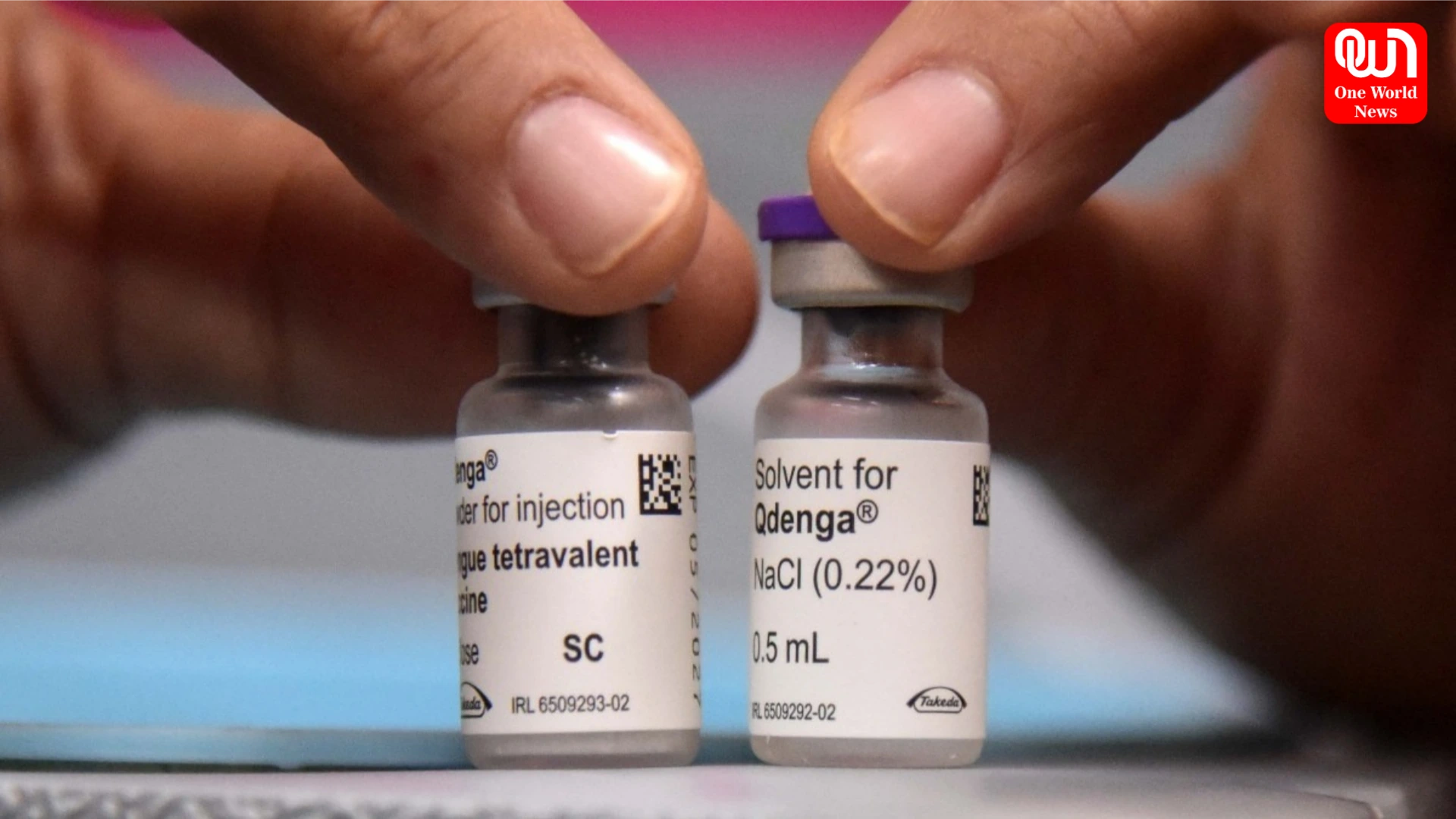 Dengue Vaccine