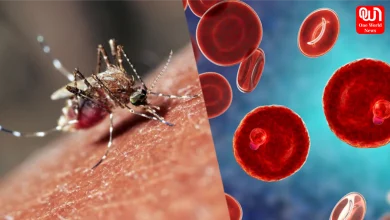 Monsoon Diseases