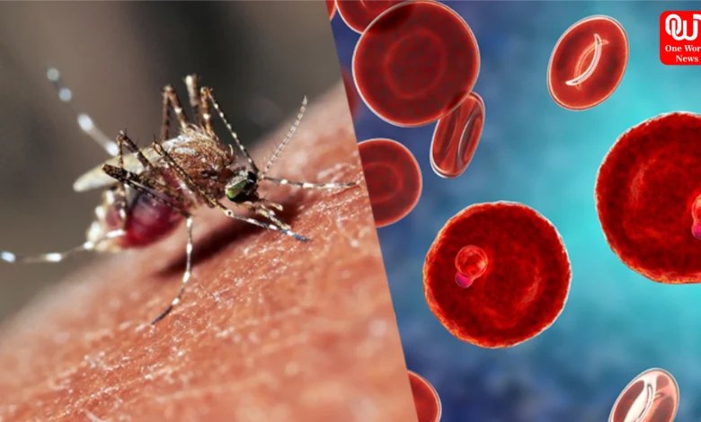 Monsoon Diseases