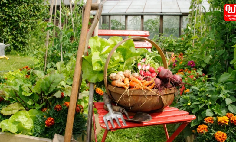 Monsoon Gardening Tips