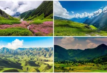 Monsoon Travel 2026