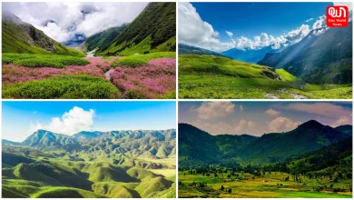 Monsoon Travel 2026