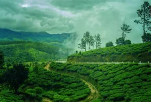Monsoon Travel