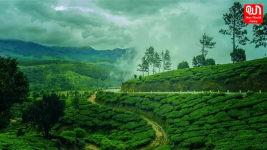 Monsoon Travel