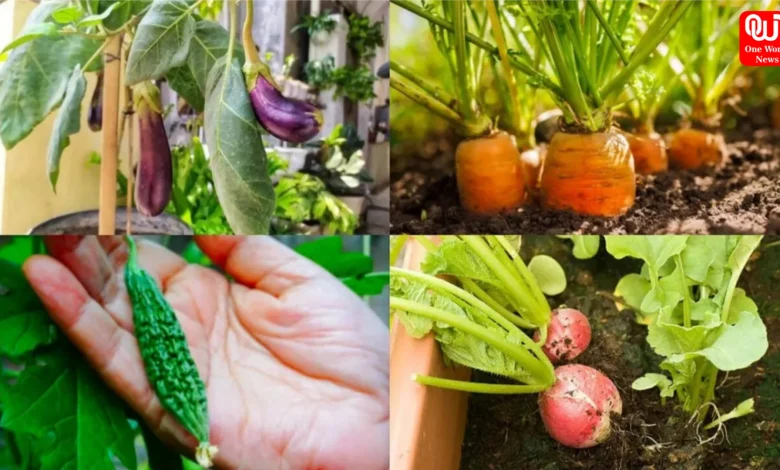 Monsoon Vegetable Buying Tips