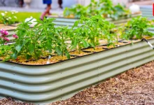 DIY Gardening Tips