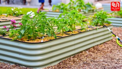 DIY Gardening Tips