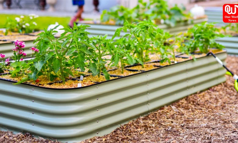 DIY Gardening Tips