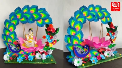 DIY Janmashtami