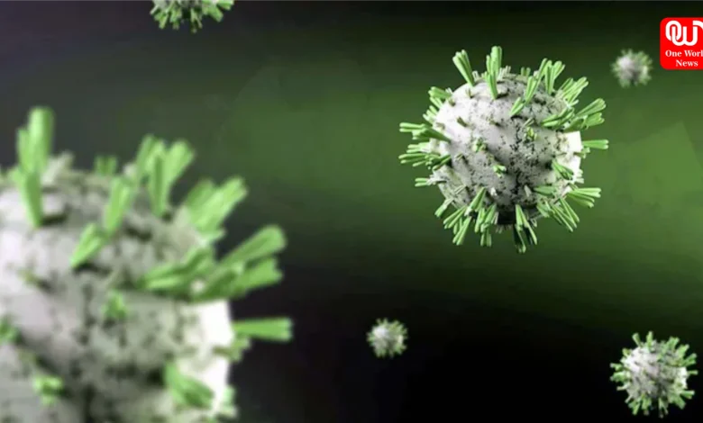Dengue Virus