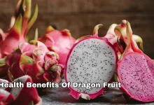 Dragon Fruit