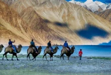 India First High Altitude Ladakh Safari