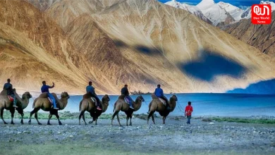 India First High Altitude Ladakh Safari