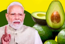 PM Modi-Avocado