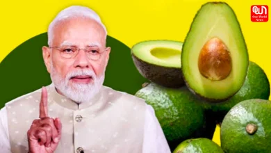 PM Modi-Avocado