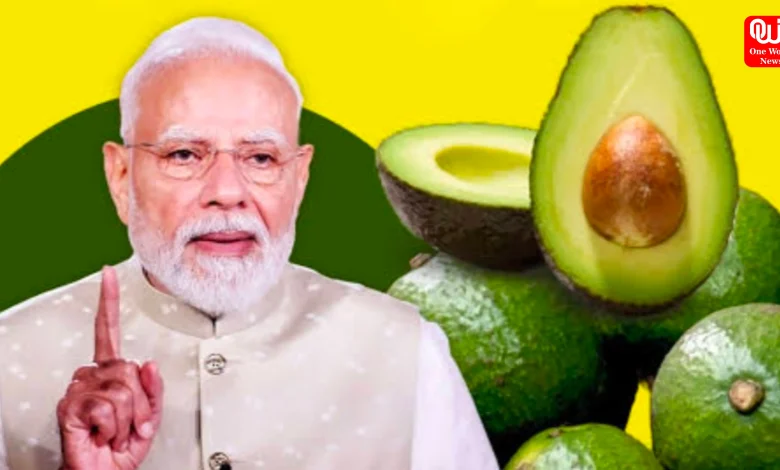 PM Modi-Avocado