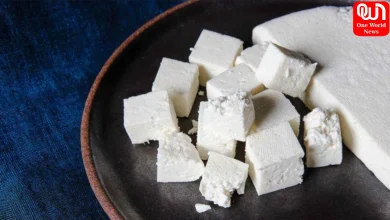 Fake Paneer