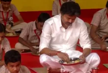 Tamil Nadu CM Vijay