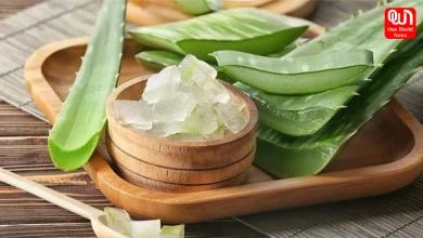 Benefits Of Aloe Vera