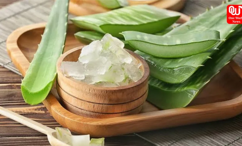 Benefits Of Aloe Vera