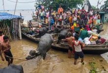 Bihar floods wreak havoc