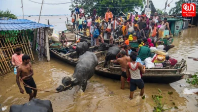 Bihar floods wreak havoc