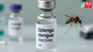 Dengue Vaccine