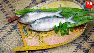Hilsa fish export is banned