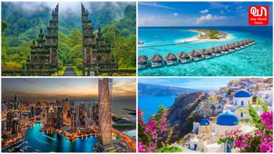 International Trip 2026