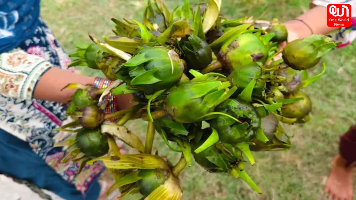 Kumudini Fruit Benefits