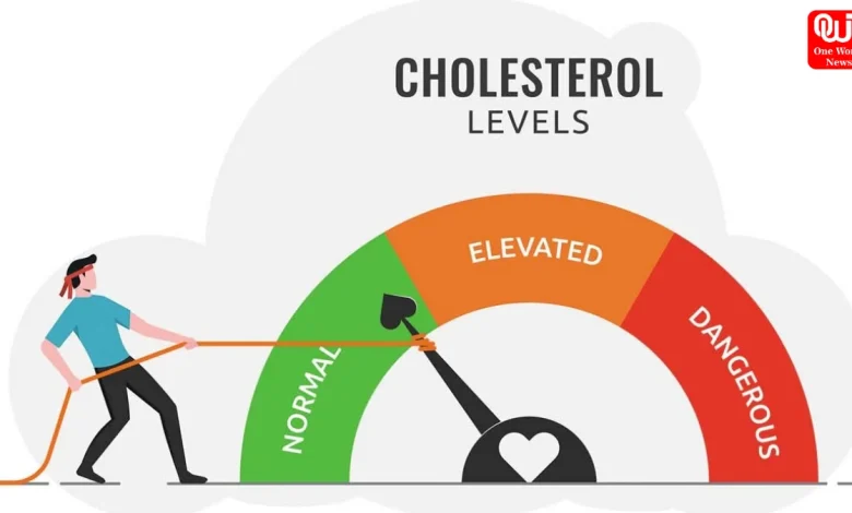 LDL or Non-HDL Cholesterol