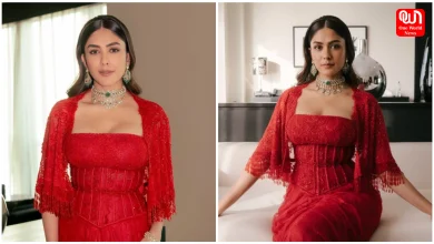 Mrunal Thakur Photos