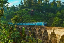 Travel to Sri Lanka