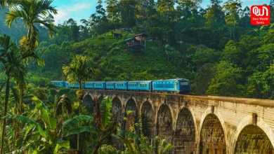 Travel to Sri Lanka