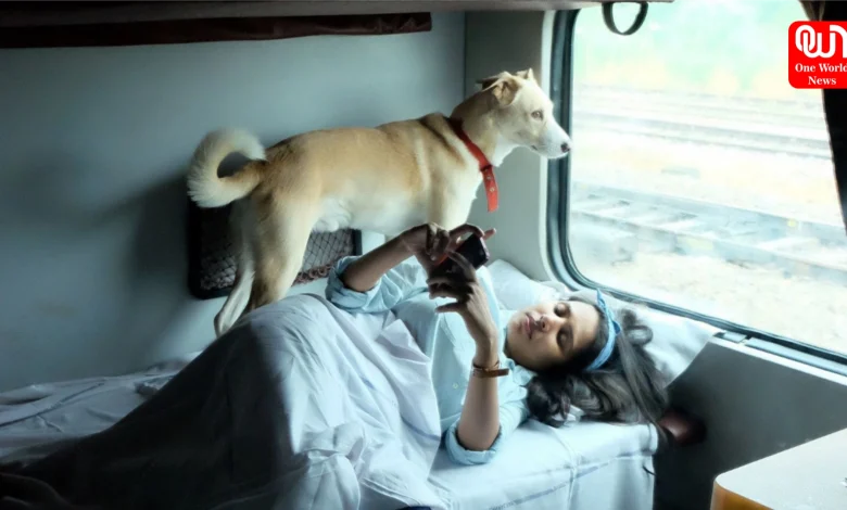 Travel with pet