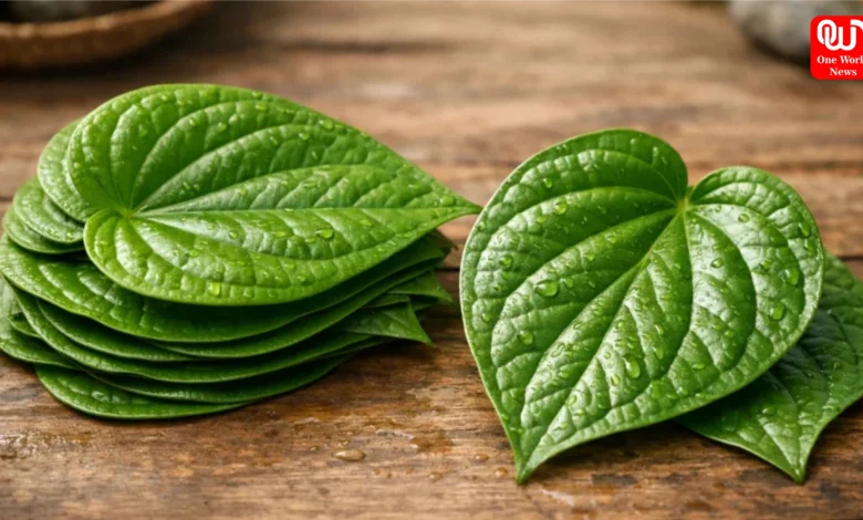 Benefits of betel stalk