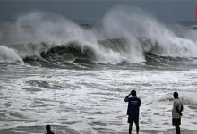 Cyclone Alert