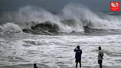 Cyclone Alert