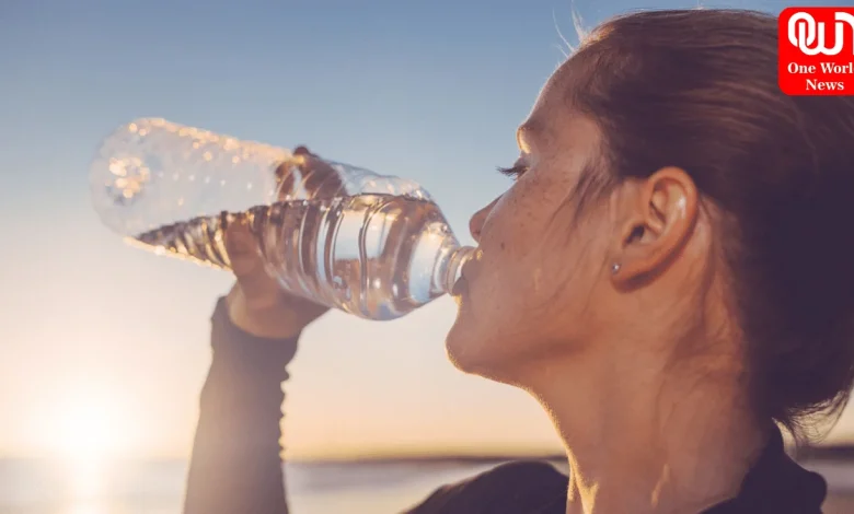 Stay Hydrated