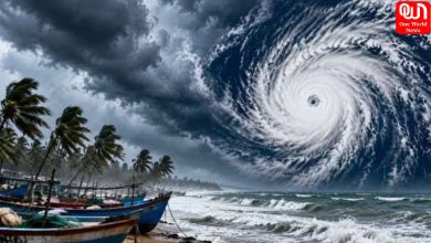 Cyclone Alert