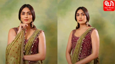 Mrunal Thakur Saree Look