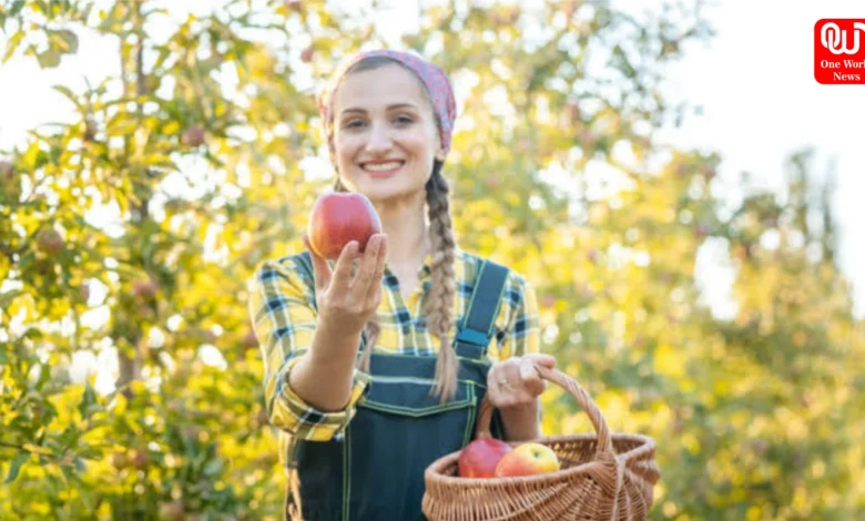 Tips For Buying Apples